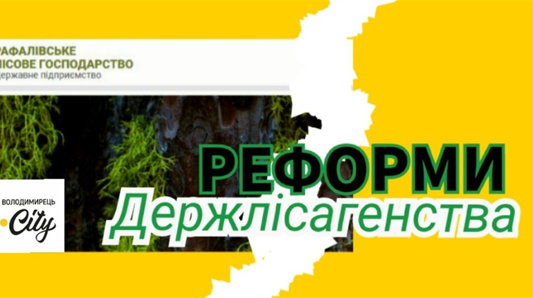 Реформи в дії – Рафалівський лісгосп ліквідовано. У чому суть реформи?