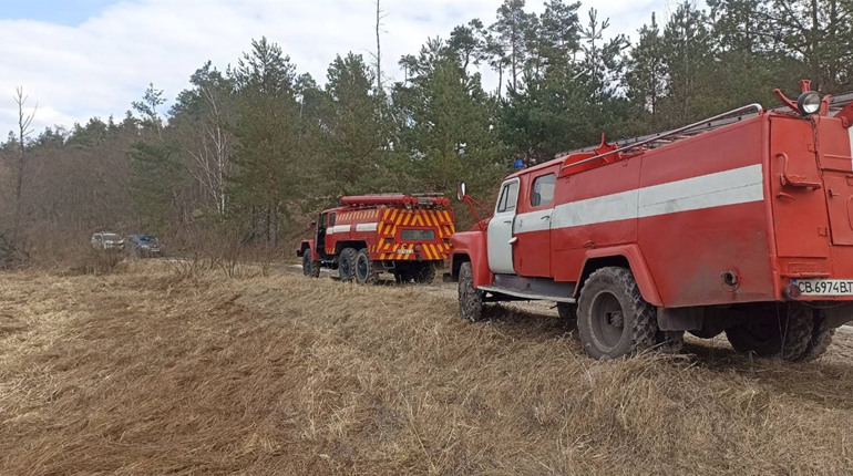 У Блистові через підпали сухостою вигоріло близько 50 гектарів лугу