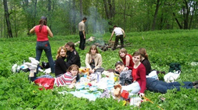 Пікніки в лісах області заборонили