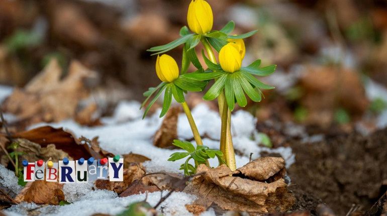 Що зміниться в Україні з 1 лютого 2026 року: головні нововведення місяця