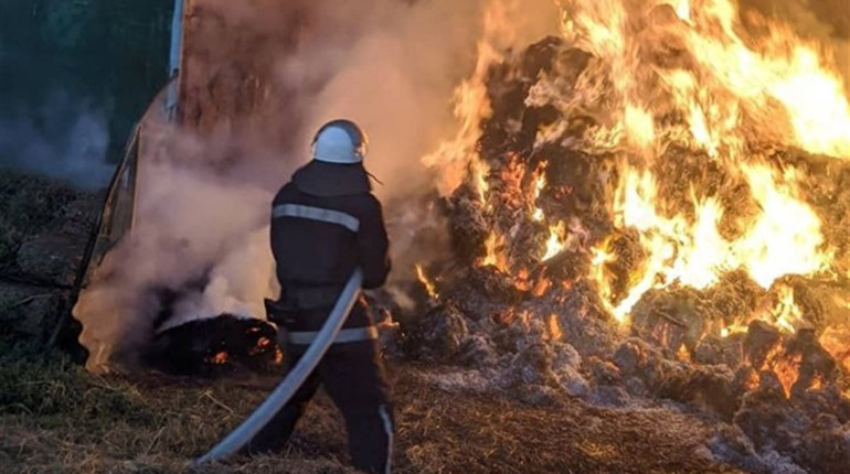 На Лозівщині пожежні рятували від вогню пшеничне поле та заготоване сіно