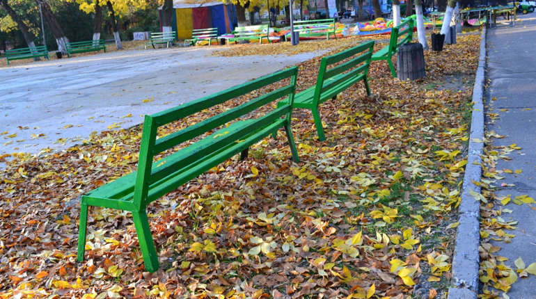 Щодо можливих порушень з боку КП «Парки Херсона» відправлені заяви до СБУ та Держаудитслужби