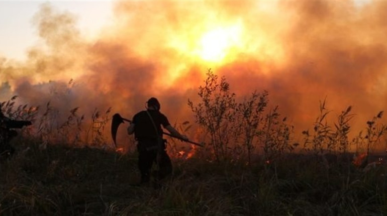 Україна у вогні. Чому ситуація з пожежами погіршується?