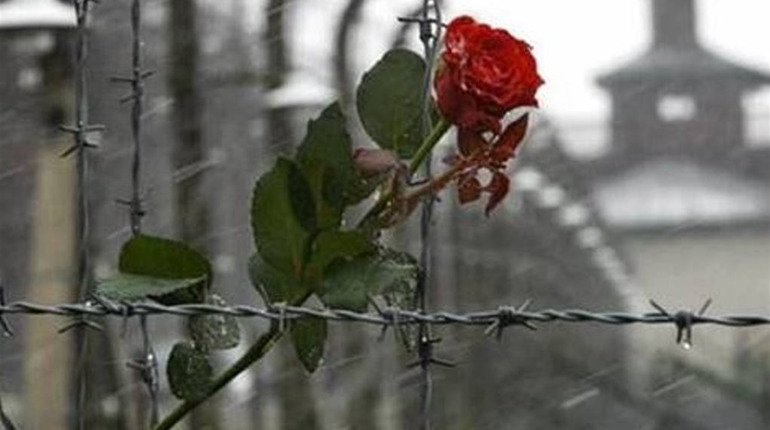 Історії херсонців з-під колючих дротів: що пережили в'язні нацистських концтаборів