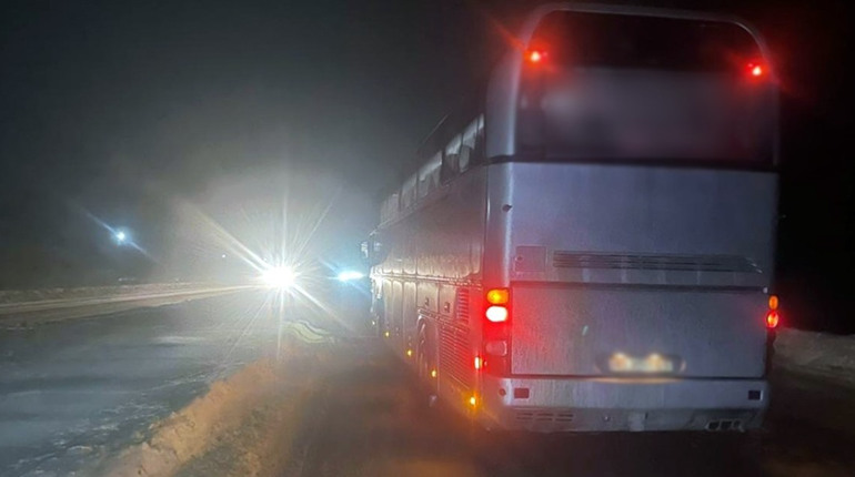 Автобус збив пішохода на трасі Київ – Чоп: слідчі шукають свідків події