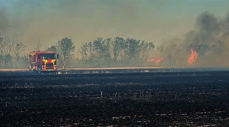 Вогняна доба на Миколаївщині: вигоріло понад 200 гектарів екосистем та полів, є загиблий через БПЛА