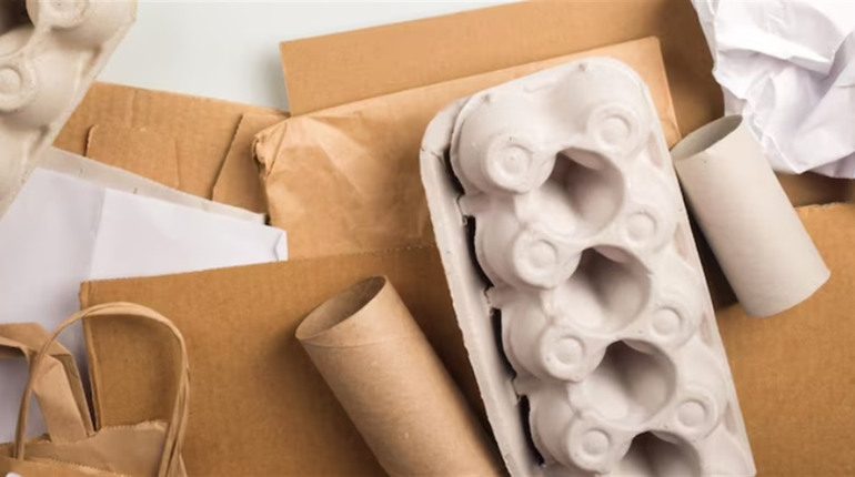 Як зберегти свіжість продуктів харчування: дієві поради для тривалого зберігання