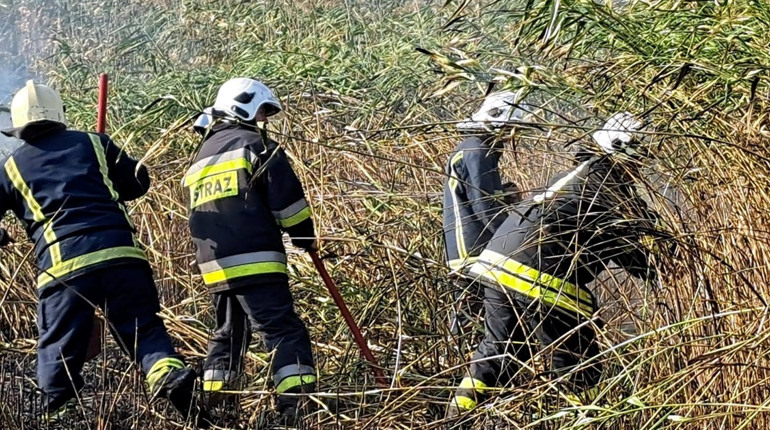 В Наталинській громаді спалахнула маштабна пожежа — вогонь знищив сухостій