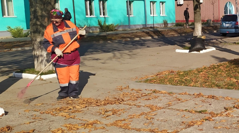 Листя: досвід садівників, які не спалюють