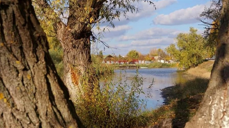 Мешканця Біляївки судитимуть за те, що радикально "вступився" за тещу