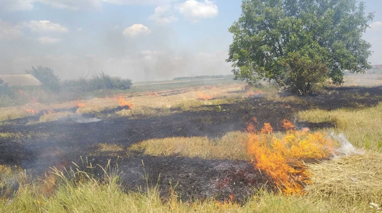 Чортківщина у вогні: двічі рятувальники залучалися до пожеж пожнивних залишків