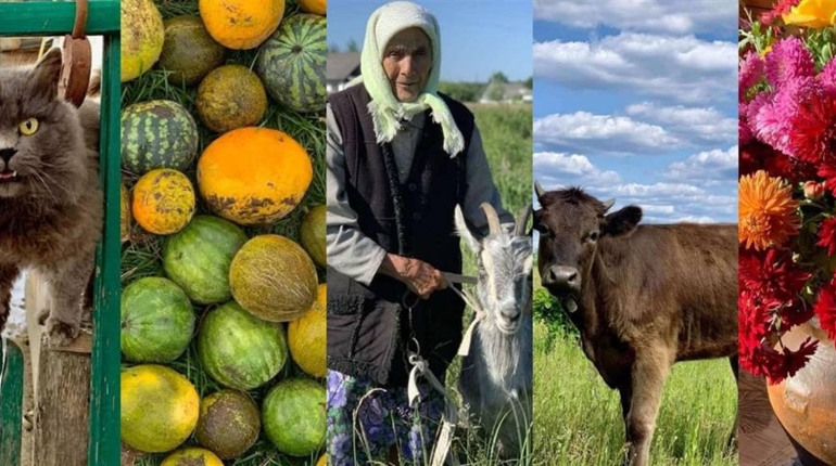 Школярка з Сарненщини здобула чотири «золота» на обласному фотоконкурсі