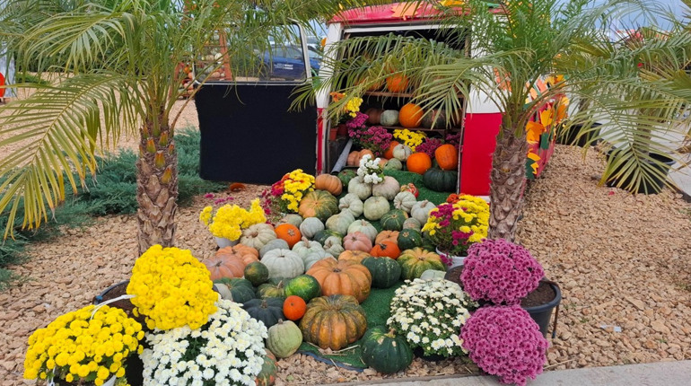Три тонни гарбузів і 75 000 гривень: у Мирному пройшов фестиваль на підтримку ЗСУ