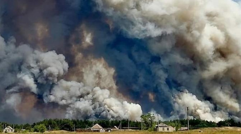 На Луганщині затримали агронома, який підпалив стерню: загинули 5 людей, згоріли десятки будинків