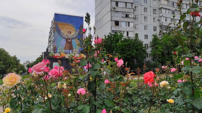 Дощ, вітер та спека: якою буде погода в Южноукраїнську у День молоді та День Конституції України