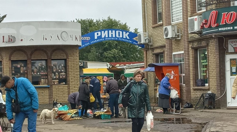 Які ціни на продукти на ринку в мікрорайоні Шевченко?
