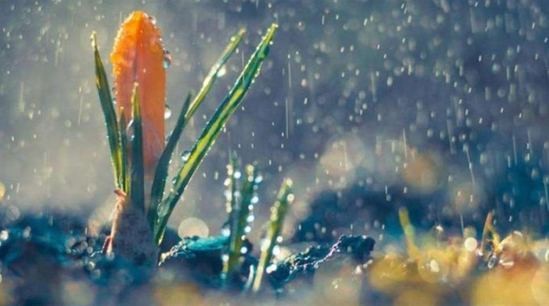 Невдовзі очікуємо похолодання та невеликих опадів: прогноз погоди