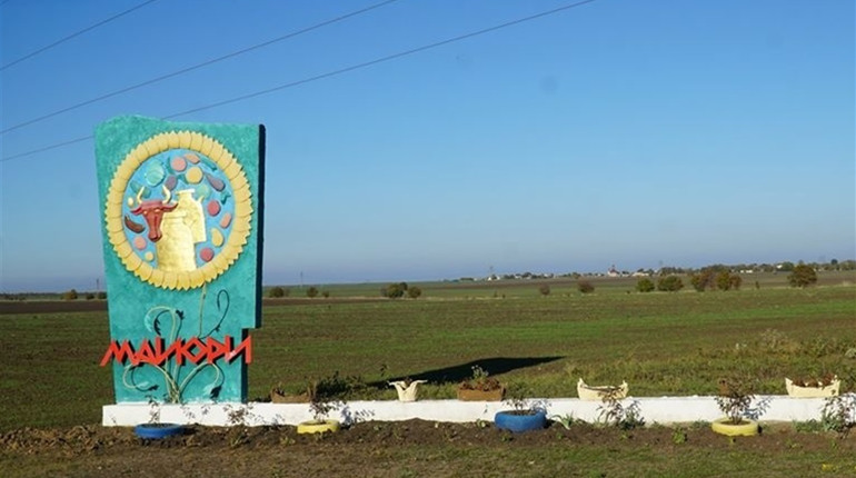 У Майорах хочуть розбити сади павлонії. Що ще планують робити у 2020 році в селі