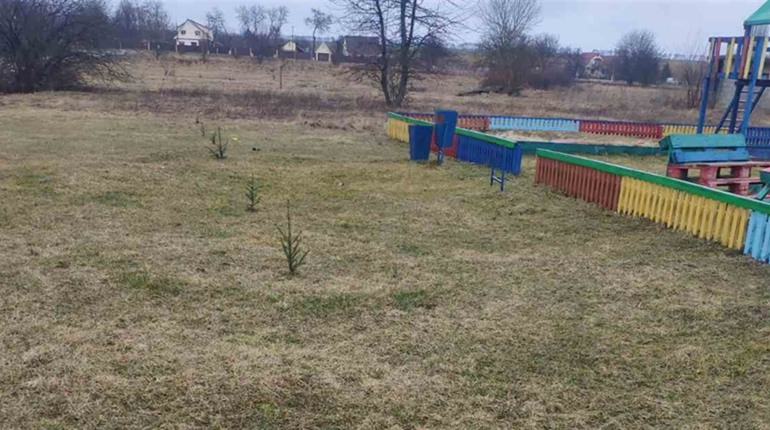 Невеличкий ліс для діток: ялинки біля ігрового майданчика посадили жителі Соснівки на Переяславщині