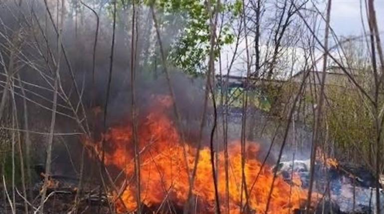 На Городоччині ліквідували пожежу сміття поблизу Великої Яромирки