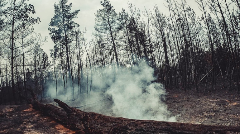 Пожежі на Луганщині: що там відбувається зараз розповів голова обладміністрації Сергій Гайдай
