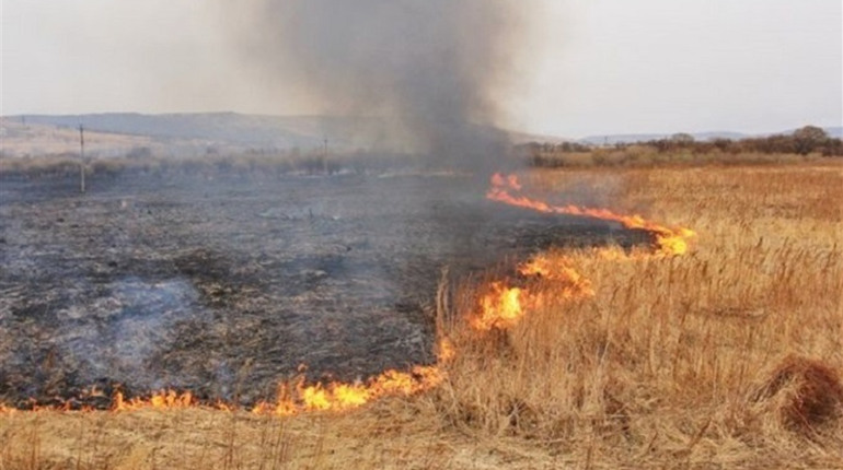 Дев’ять днів – дев’ять пожеж: калинівські рятувальники гасять пожежі в екосистемах