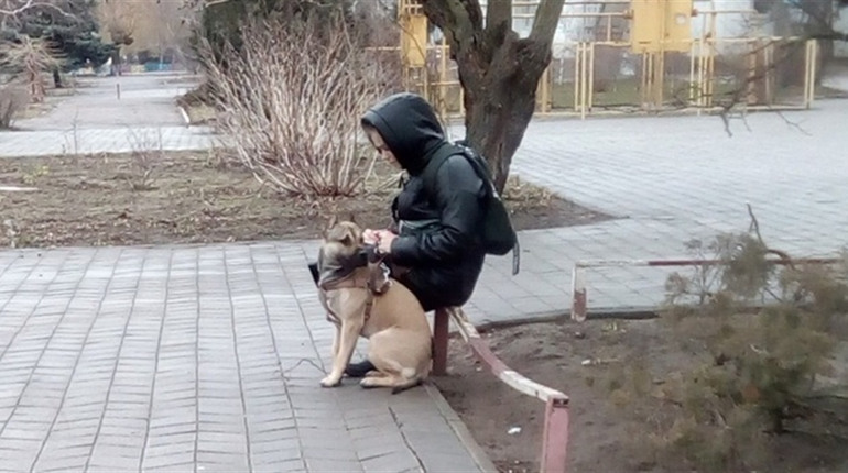 Як утримувати небезпечні породи собак
