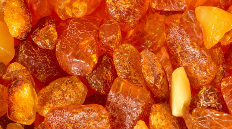 Нелегальний бурштин: у жителя Дубровиці вилучили 15 кілограмів каміння