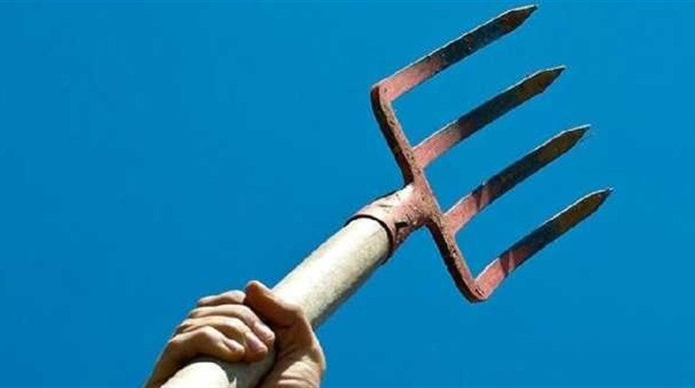Кинувся з вилами: на Фастівщині двоє чоловіків напали на поліцейських