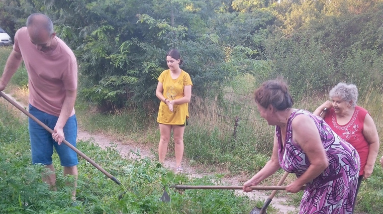 Чим небезпечна амброзія