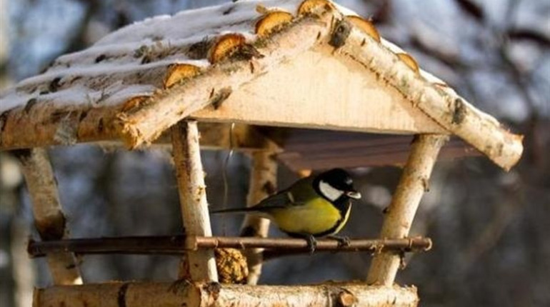 Погода на Білопільщині: наступного тижня буде тепло