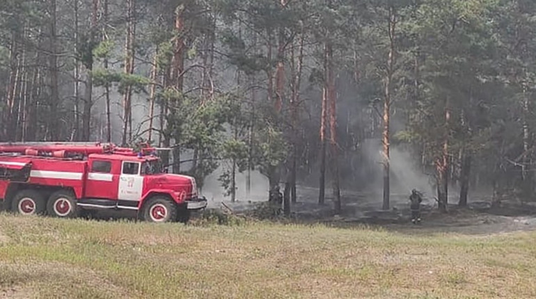 Від ворожого вогню на Куп’янщині горять екосистеми
