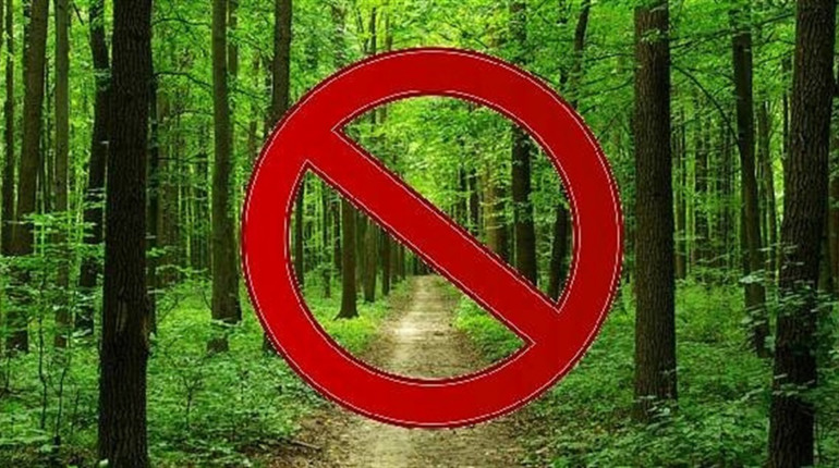 До лісу ходити не можна. Чому і кого обмеження не стосується