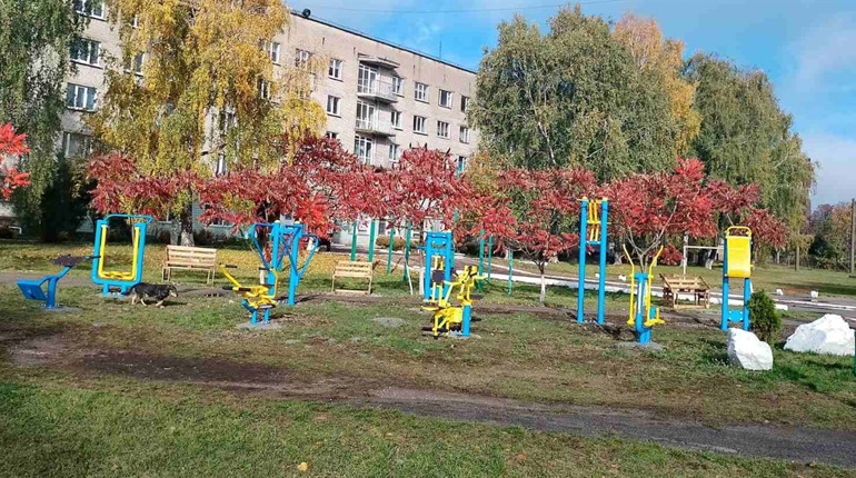 Мама загиблого воїна за власний кошт встановила спортивний майданчик