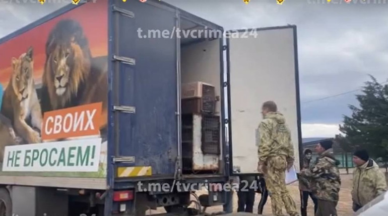 Вивезли 120 тварин: росіяни пограбували сафарі-парк на Херсонщині