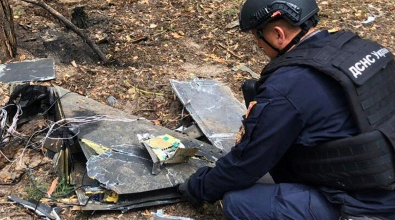 На Київщині жителі виявили уламки ворожого дрона "Герань-2" у лісі