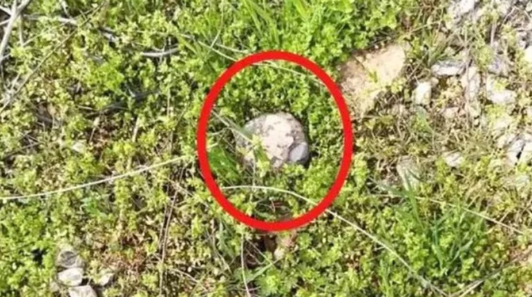 Окупанти мінують Херсон дронами: як виглядає нова міна "Пряник"