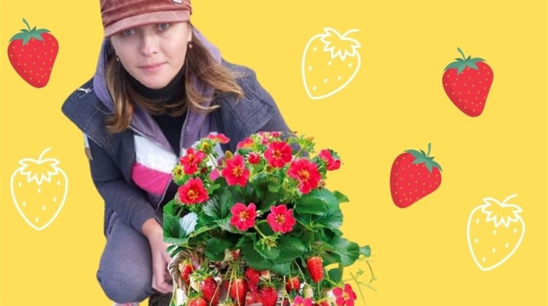 Як на землі заробляти більше та розрахуватися з боргами: досвід фермерки з Біляївки