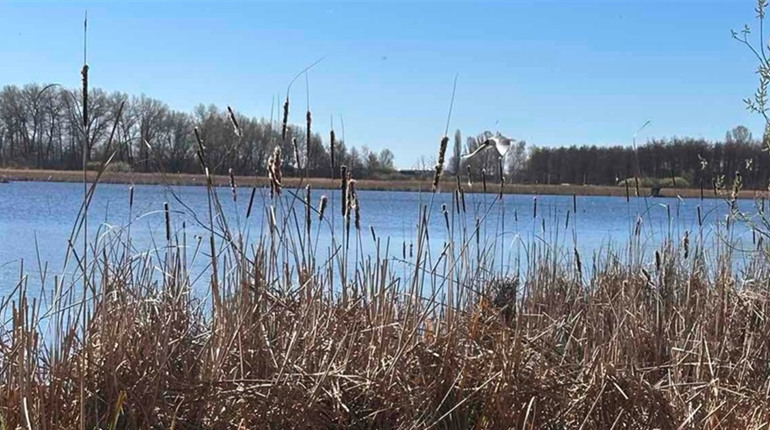 Погода у Старокостянтинові на 6-12 квітня: дощі, похолодання та яким буде Великдень