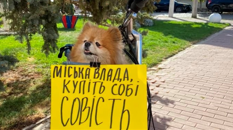 Влада забула, що війна. Білгород-Дністровський долучився до протестів проти недоречних тендерів