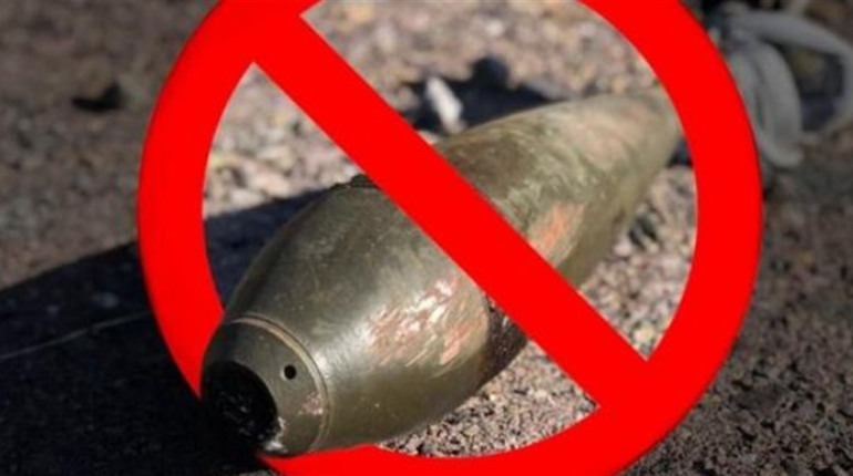 Піротехніки на Черкащині знешкодили чотири вибухонебезпечні предмети