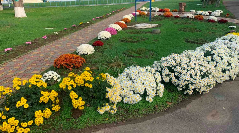 У Біляївці висадили нові рослини й оновили спортмайданчик: долучилися футболісти та містяни