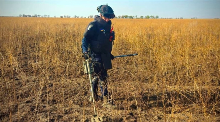 Уряд збільшив розмір компенсації на розмінування сільгоспземель: що відомо