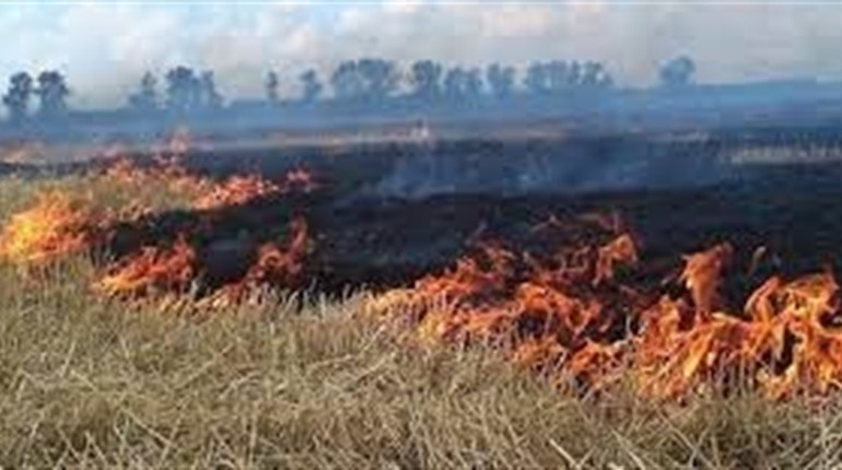 Шановні громадяни, не випалюйте суху торішню траву! Це призводить до руйнування екосистеми