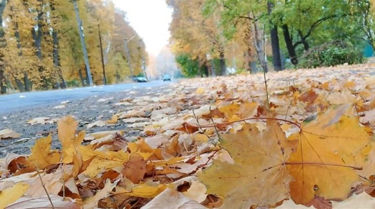Погода на тиждень: на Гадяччині очікуються дощі зі снігом й зниження температури повітря