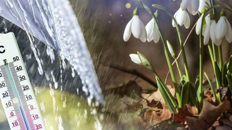 Ожеледиця та невеликі дощі з мокрим снігом: яку погоду прогнозують синоптики на початку тижня