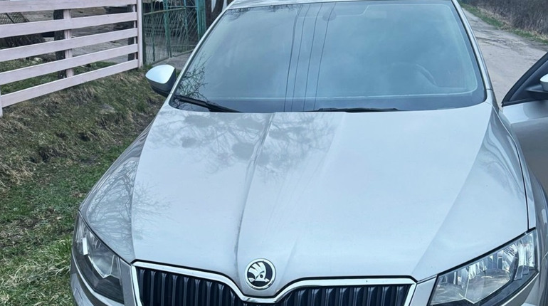 Викрав "Skoda Octavia", щоб підвезти дівчат: на Звягельщині знайшли автовикрадача