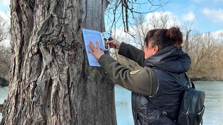 Рейд у Нижньодністровському нацпарку: виявили браконьєрство, порушення та незаконну забудову
