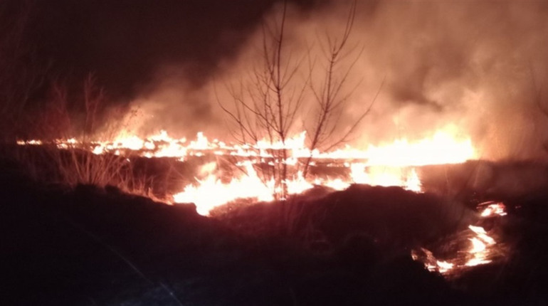У Городку горів сухостій. Площа загоряння становила 250 квадратних метрів