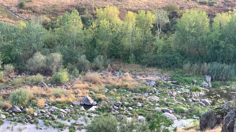 Водна криза на Південному Бузі